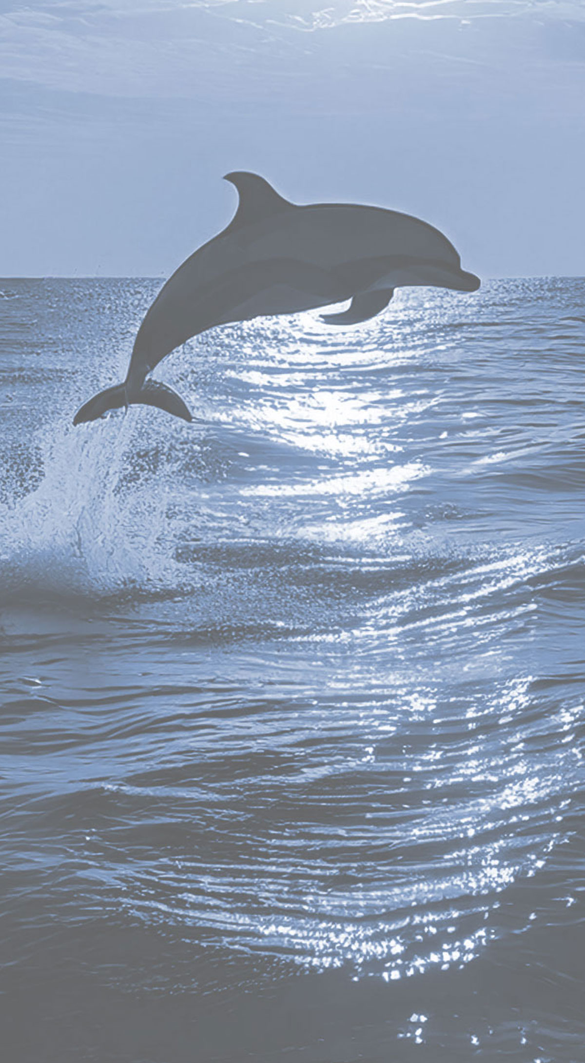 ST-LNG-25-001-PROJECT-PAGE-2